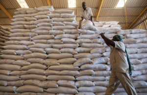 Multilateral agency heads urge action on global food security crisis