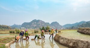 UNCTAD wants ‘rethink’ of strategies to arrest global slowdown