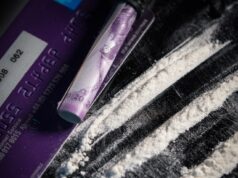 Global cargo supply chain heavily infiltrated by illicit drugs - WCO