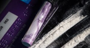 Global cargo supply chain heavily infiltrated by illicit drugs - WCO